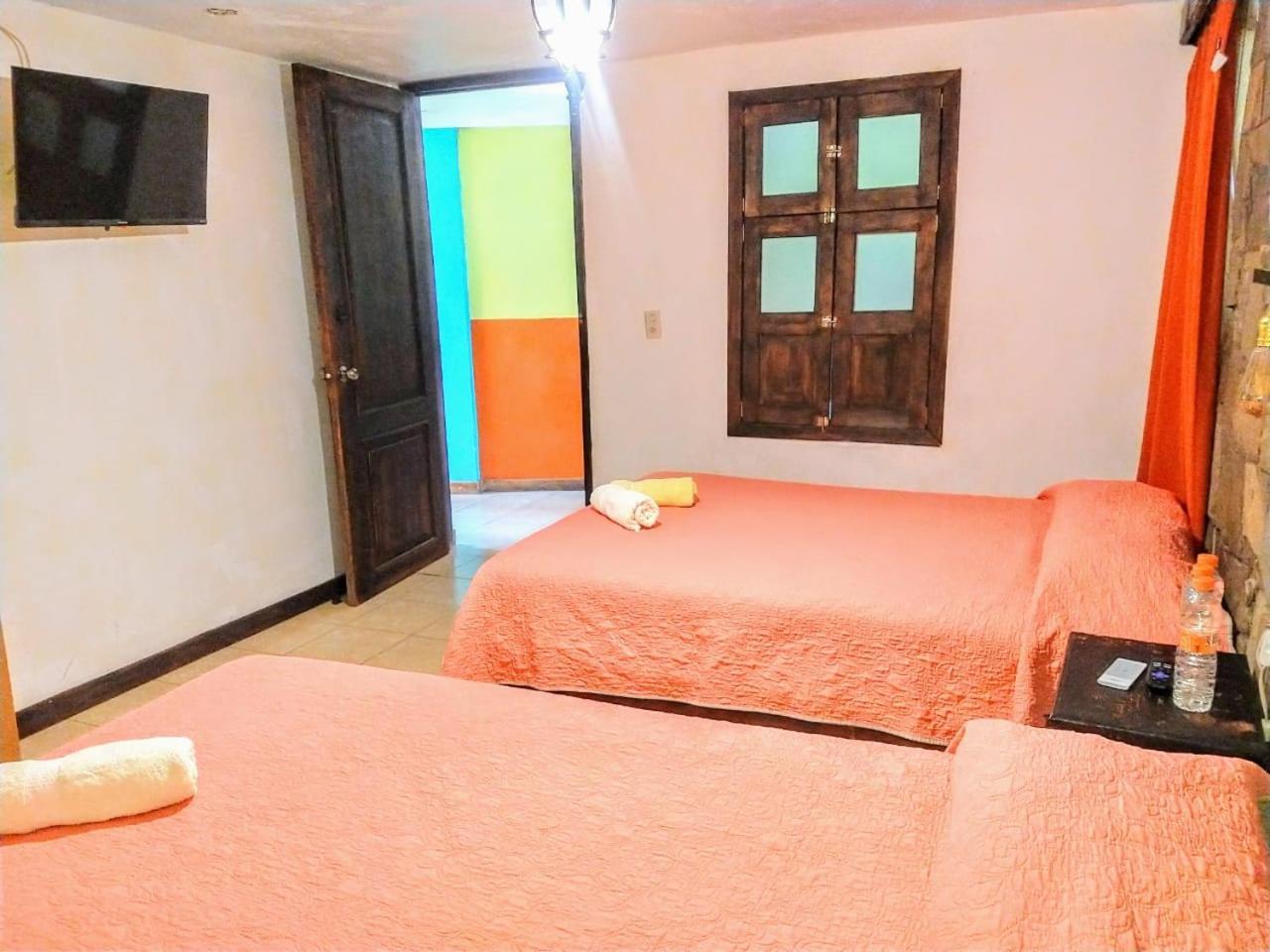 Posada "Jardin Huasteca Xilitla" Екстер'єр фото